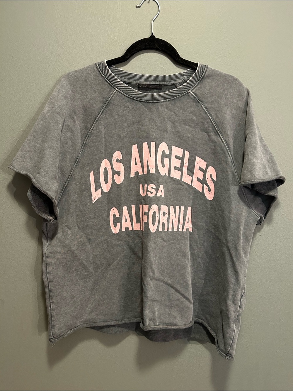 Zara Gray Crop sweatshirt with Pink Los Angeles Graphic